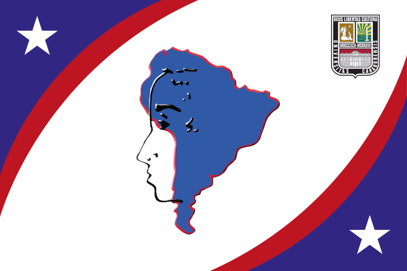 Bandera de Apucito